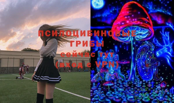 a pvp Краснослободск